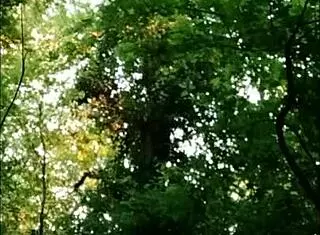 yo, watch this french slut get slapped and humiliated in the forest.