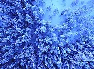 natal teases with pussy gift - leticia ferola