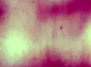 priyanshisharma14 gets anal fucked with dildo