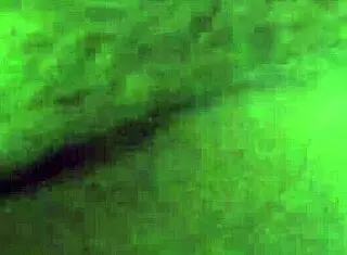 Real Sex with Skinny Brunette Goddess