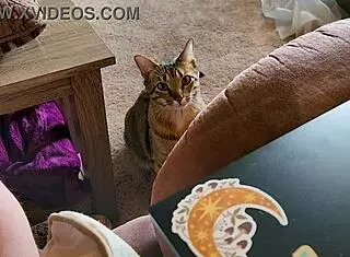 Clara Crisp Milf Bbws Giantess Video Bts