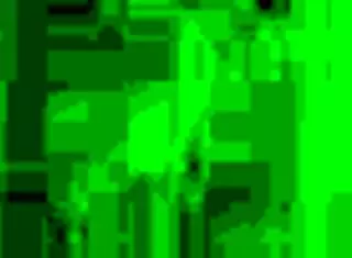 Homemade Scene Featuring BBW Couple