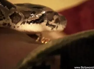 seductive mature brunette body attracting different men