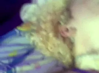 Slut drips red while cumming with toy!