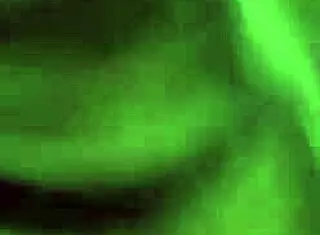 guerita gordibuena, do you love sucking until you get my cum in your mouth?