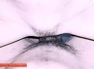 My Vagina Craves Your Penis Inside