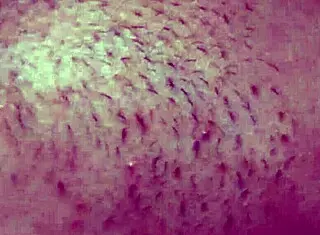 She comes home late from school and gets punished