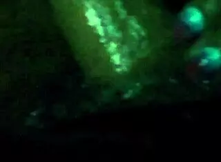 Saliva blowjob in cinema with mexican latina whore!