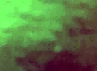 Your dick better than boyfriend's in doggystyle?