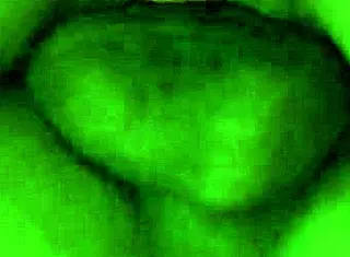 I hooked up with a tattooed personal trainer, and we had intense sex with assfucking and big clit play.