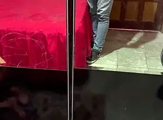 the guy brings a new friend home again