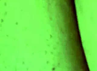 Swollen pussy pumped hard with fat BBW taking big cock deep inside her.