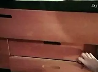 Exploring the Kinky BDSM Bed and Cage Setup