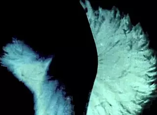 dark london taboo with mother in law, vintage pussy action 😈