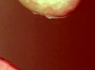 Japanese Girlfriend's Uncensored Milking