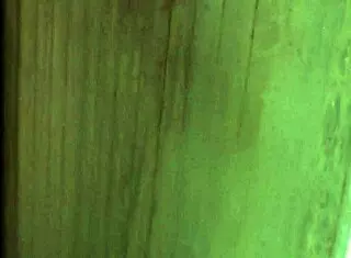 Индийская женщина показывает голое тело любовнику!