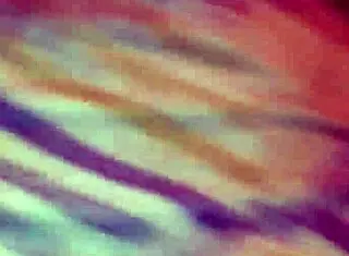 jenny donkey's hurting o-ring with big cock