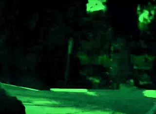 Tali Dova, Stunning Blonde, Rides Hard in College Anal Scene.