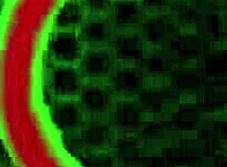 BBW Hollywood Rides Massive Cock