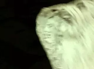 jerking with wife's panties 😏