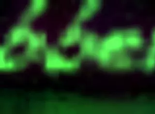 Rebel rhyder in intense group action with multiple partners.