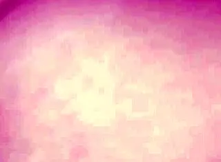 friends chatting in the yard, and he impregnated me