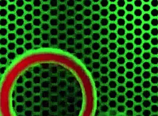 Savana Styles Gets Creampied By Rome Major